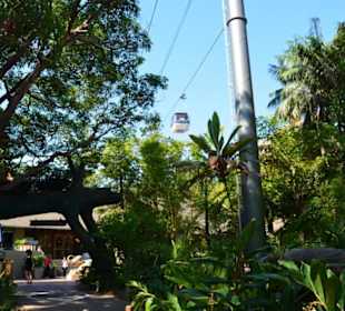 Taronga Zoo