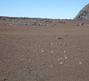 Impressionen aus der Plaine des Sables