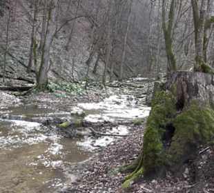 Wasserfallsteig