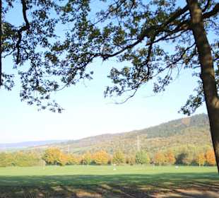 Blick in die Lanfschaft