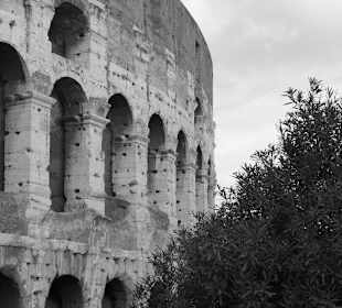 Colosseo bianco e nero
