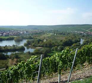 Blick auf Escherndorf und Nordheim