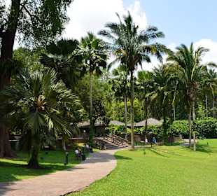 Botanischer Garten Singapur