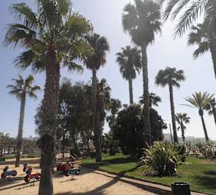 Décor entourant les plages