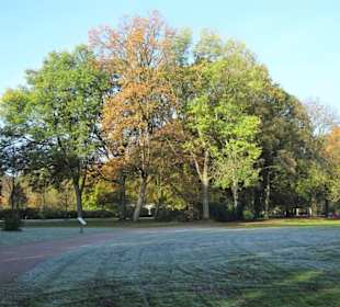 Rundgang durch den Hamburger Stadtpark