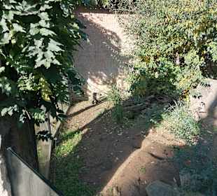 Zoologischer Garten Prag