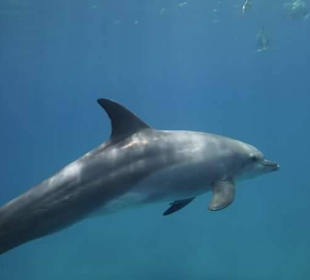 Unbeschreiblich schön!