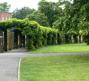 Palmerston Park