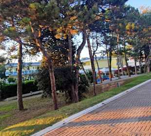 Lido dei Pini Rad-/Fußwege Parkanlage