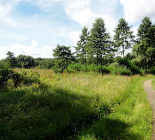 Unterwegs auf dem Huntepadd