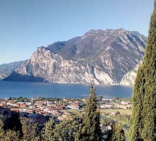 Ausblick