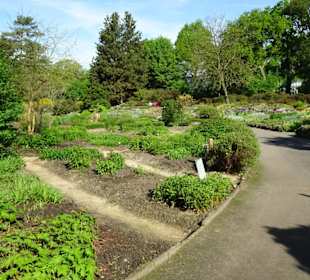 Der Bremer Botanische Garten im Mai