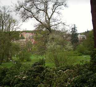 Blick zur Hauptstrasse