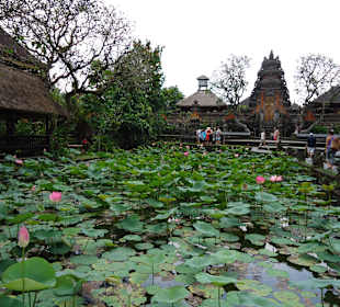 Wassertempel von Ubud
