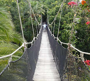Hängebrücke im Dschungelpark