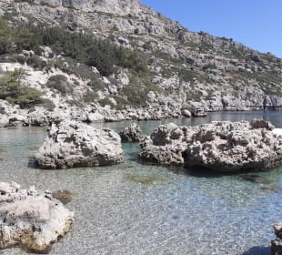  Anthony Quinn Bay