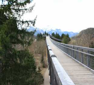 Walderlebniszentrum Ziegelwies