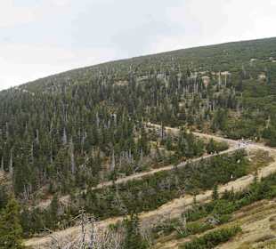 Berg Schneekoppe/Śnieżka