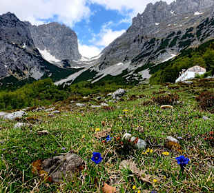 Wandern Ellmau am Wilden Kaiser
