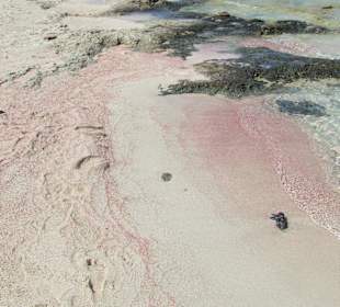 Różowy piasek na Balos