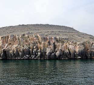 Heiko sei Dank Bilder Oman Fjord Dhaufahrt