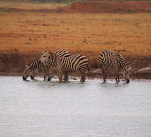 Tsavo Ost Nationalpark