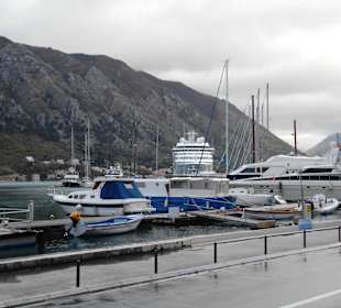 Hafen vor der Altstadt Kotor