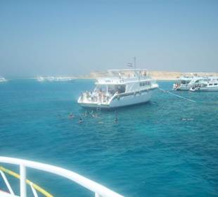 Dutzende Schiffe, dennoch schön