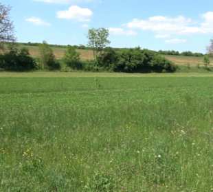 Wanderweg Sieben-Täler-Runde 
