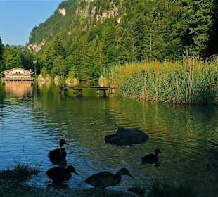 Berglsteinersee bei Sonnenaufgang
