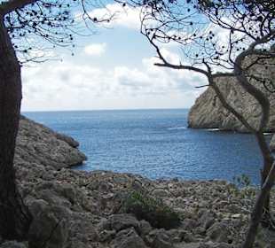 Bucht bei Cala Fornell