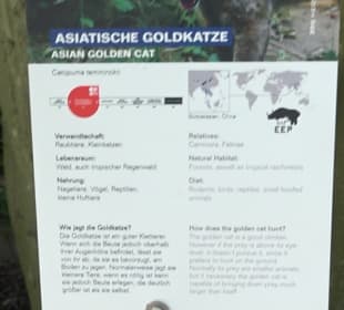 Zoo Heidelberg