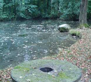 Kurpark Bad Oeynhausen und die Umgebung