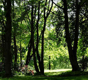 Spaziergang durch die Graftanlagen