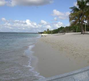 Isla Catalina