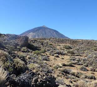 Im Nationalpark - Blick zum Pico del Teide