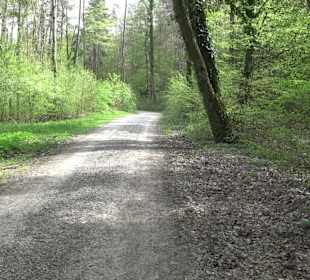 Walderlebnisweg Rottenburg