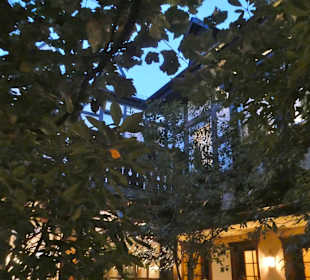 Am Abend im Weingarten vom Weingut Jacob Lill