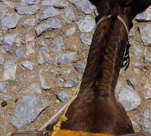 Ritt auf dem Lindos-Taxi - der Esel