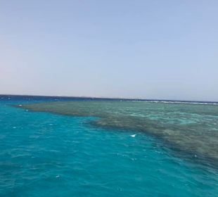 Soma Garden utopia island U