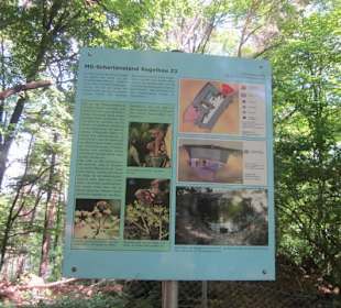 Westwallweg Oberotterbach