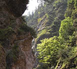 Hohe Steilwände geben den Blick nach oben frei