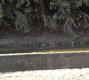 Unterer Schlossgarten Stuttgart