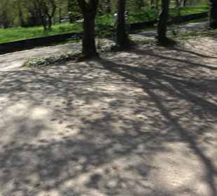 Parkanlage Villa Berg