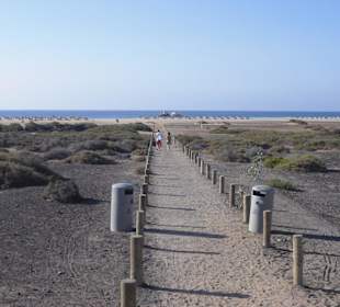 Weg durch das Naturschutzgebiet