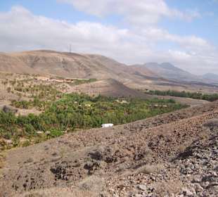 Oasispark - Kamelreiten