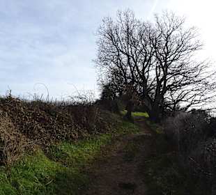 Weg