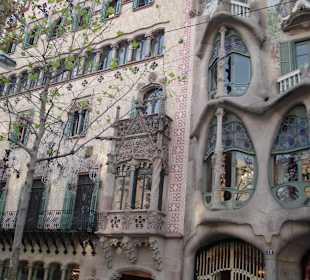 Gaudi