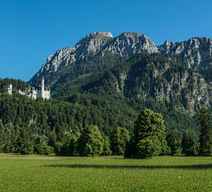Schloss Neuschwanstein