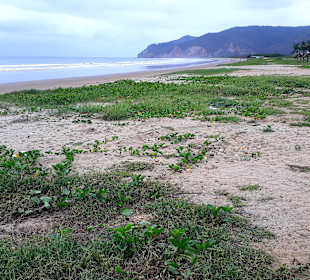 Rundgang Puerto Lopez